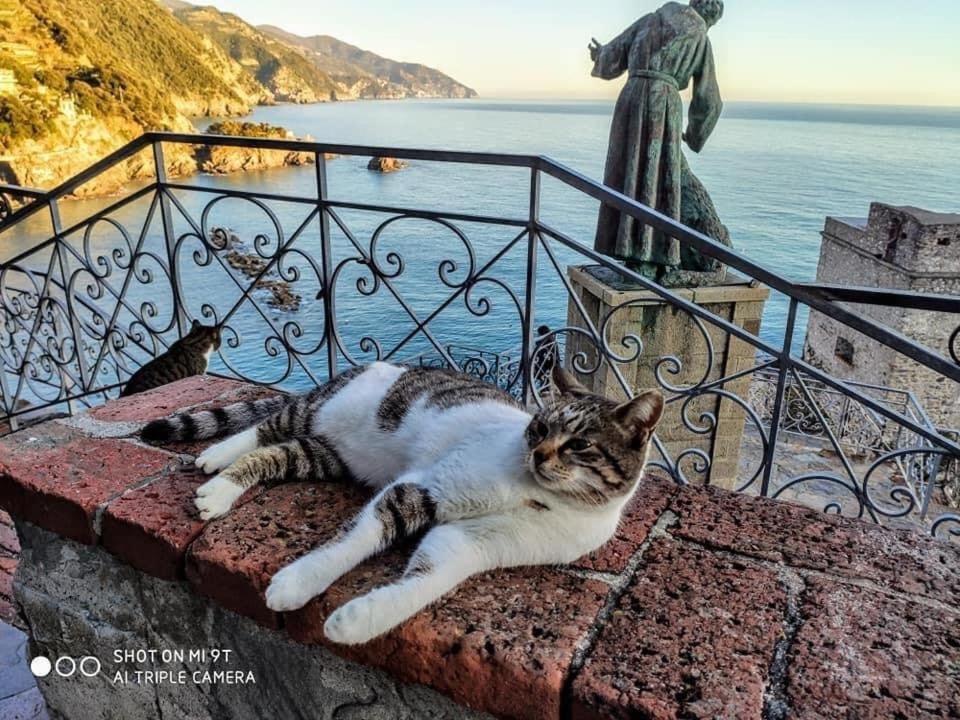 La Rosa Dei Venti Hotel Monterosso al Mare Exterior foto