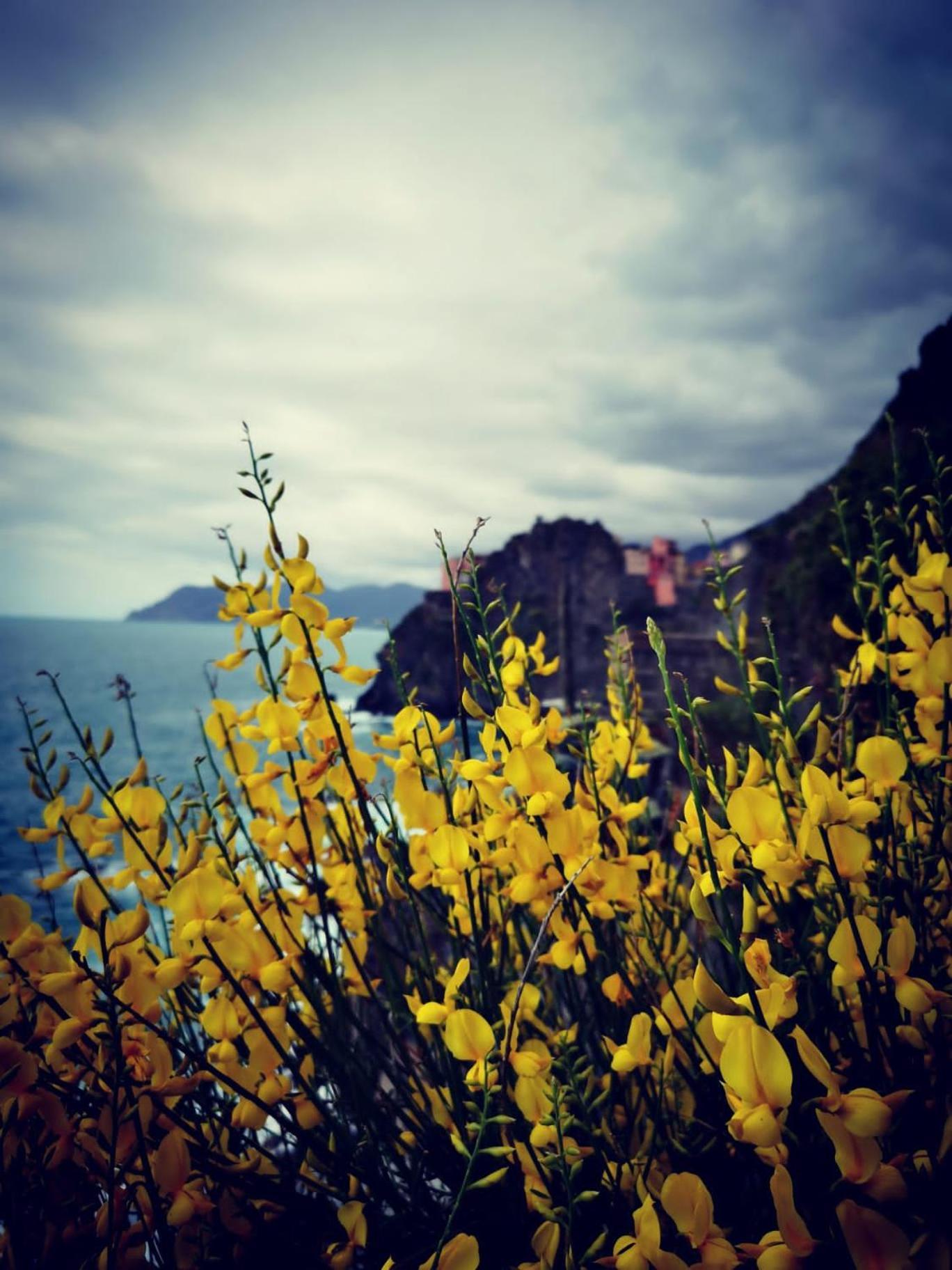 La Rosa Dei Venti Hotel Monterosso al Mare Exterior foto